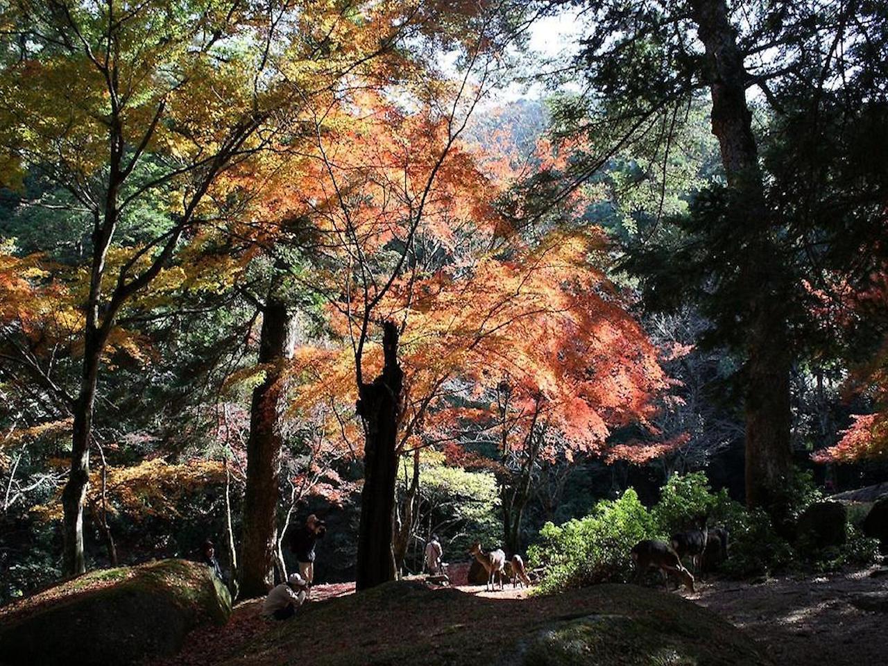 Sakuraya Ξενοδοχείο Hatsukaichi Εξωτερικό φωτογραφία