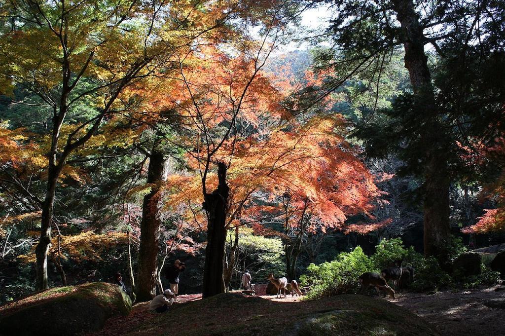 Sakuraya Ξενοδοχείο Hatsukaichi Εξωτερικό φωτογραφία